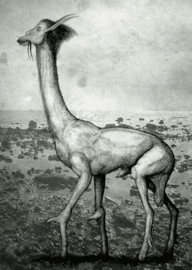 マンテロープ
